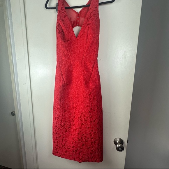 Monique Lhuillier Red-berry Floral Lace Sleeveless Mesh Cutout Back Dress NWT 6 - Picture 2 of 16
